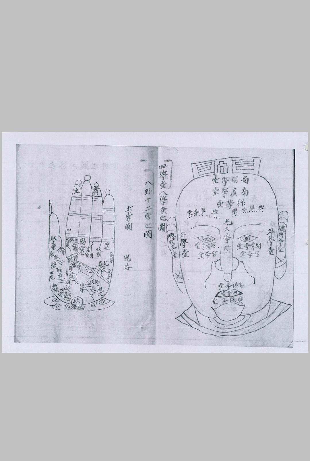 图片[5]-中华古籍网-专注古书收集相书-中华古籍网-专注古书收集中华古籍网-专注古书收集