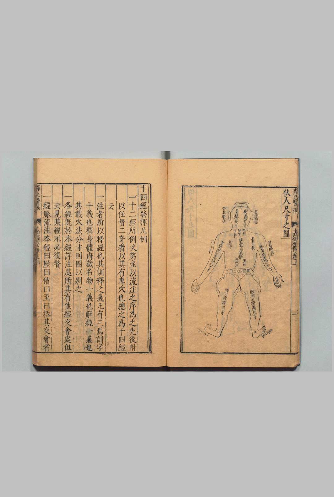 图片[4]中华古籍网-专注古书收集薛氏医按 二十四种本 薛己 吴琯 ,明万历间中华古籍网-专注古书收集中华古籍网