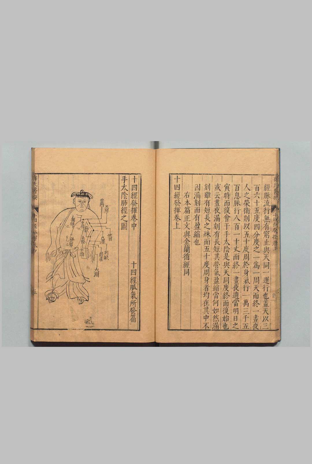 图片[5]中华古籍网-专注古书收集薛氏医按 二十四种本 薛己 吴琯 ,明万历间中华古籍网-专注古书收集中华古籍网