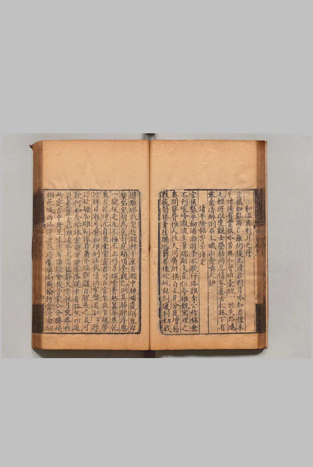 图片[5]中华古籍网-专注古书收集屏山集 20卷 刘子翬（宋）明正德7年中华古籍网-专注古书收集中华古籍网