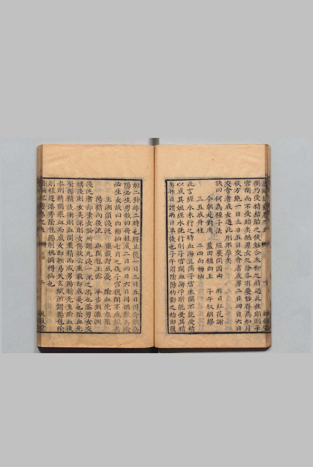 图片[12]中华古籍网-专注古书收集万密斋书 万全（明）清康熙51年 , 视履堂中华古籍网-专注古书收集中华古籍网