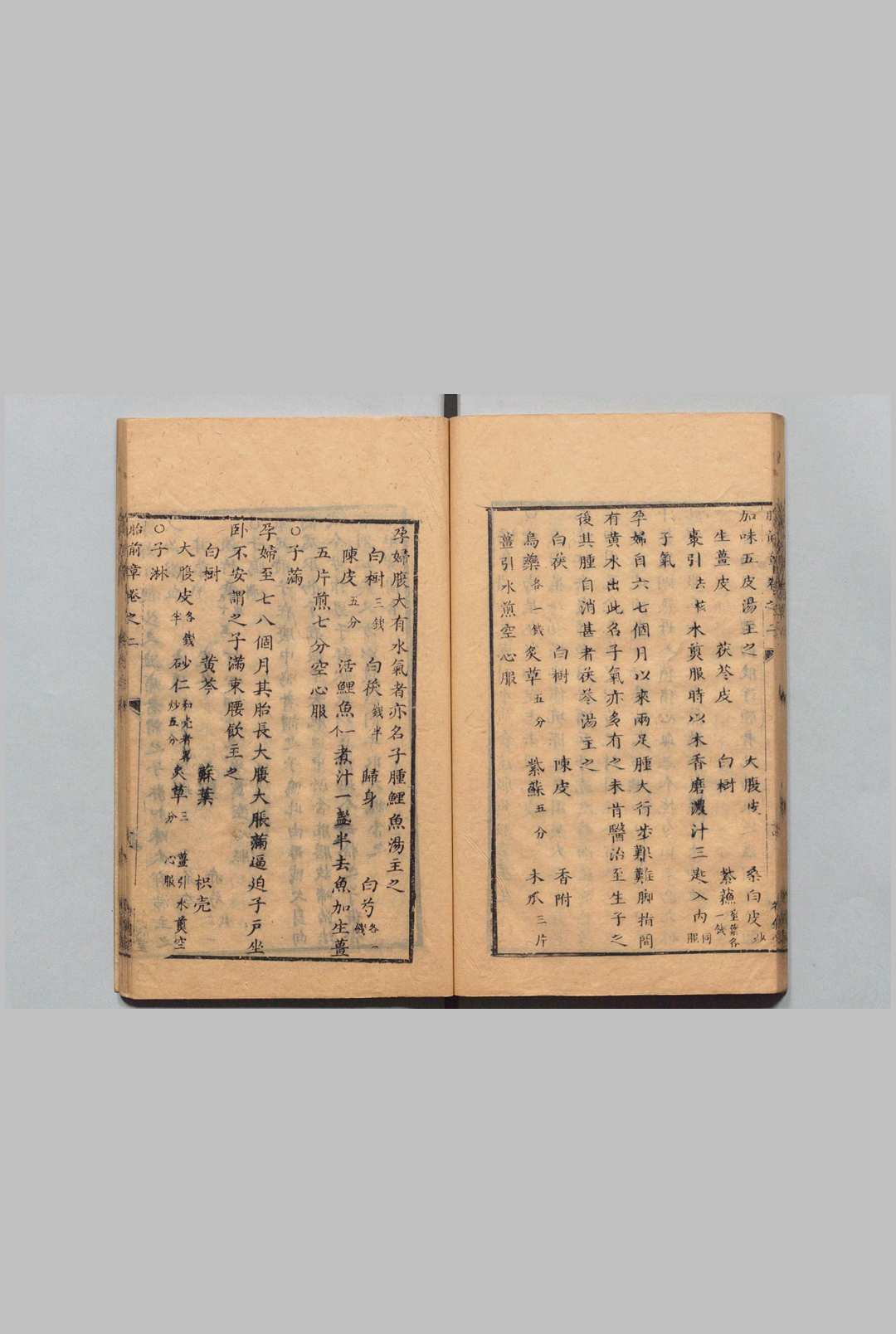 图片[15]中华古籍网-专注古书收集万密斋书 万全（明）清康熙51年 , 视履堂中华古籍网-专注古书收集中华古籍网