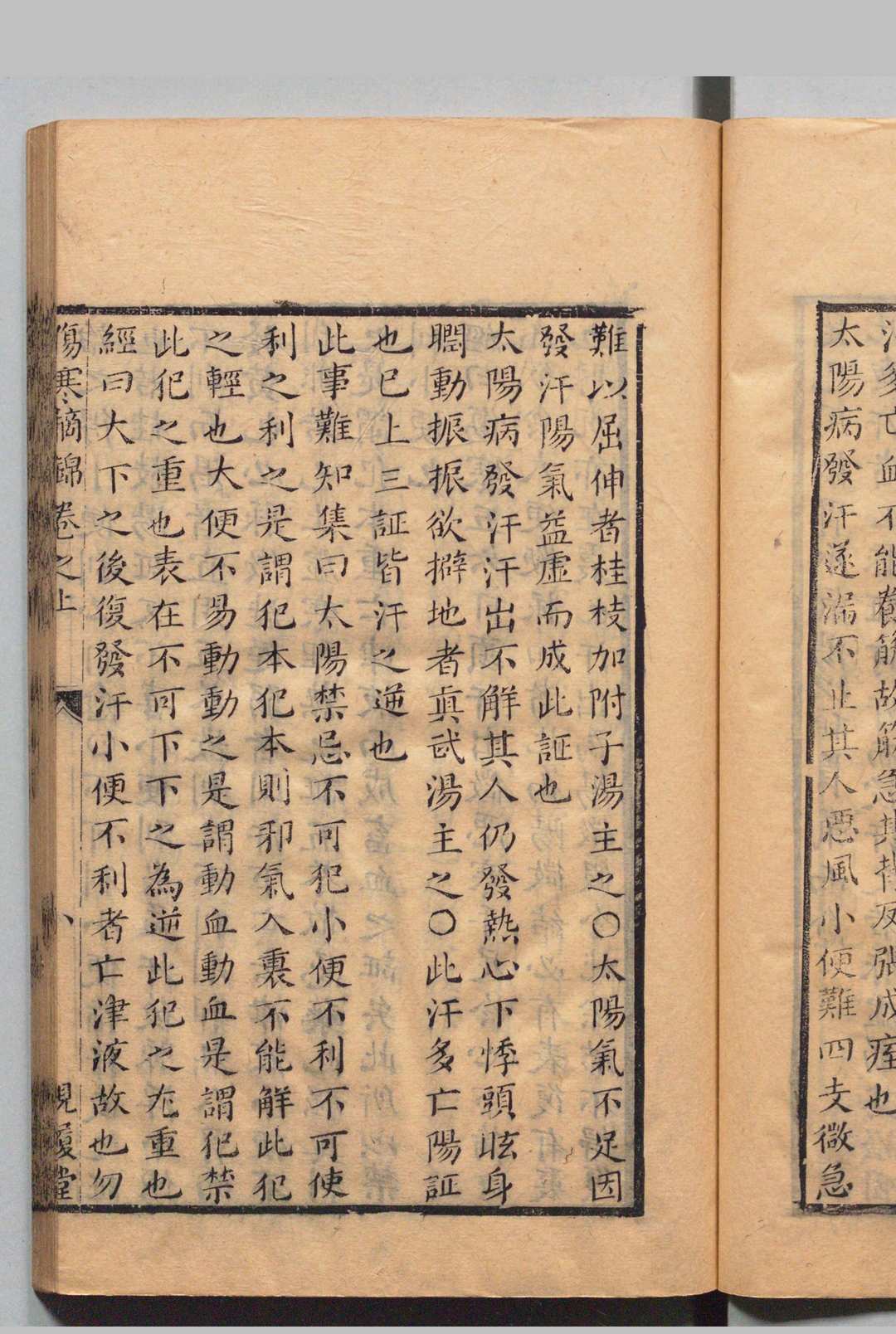 图片[13]中华古籍网-专注古书收集万密斋书 万全（明）清康熙51年 , 视履堂中华古籍网-专注古书收集中华古籍网