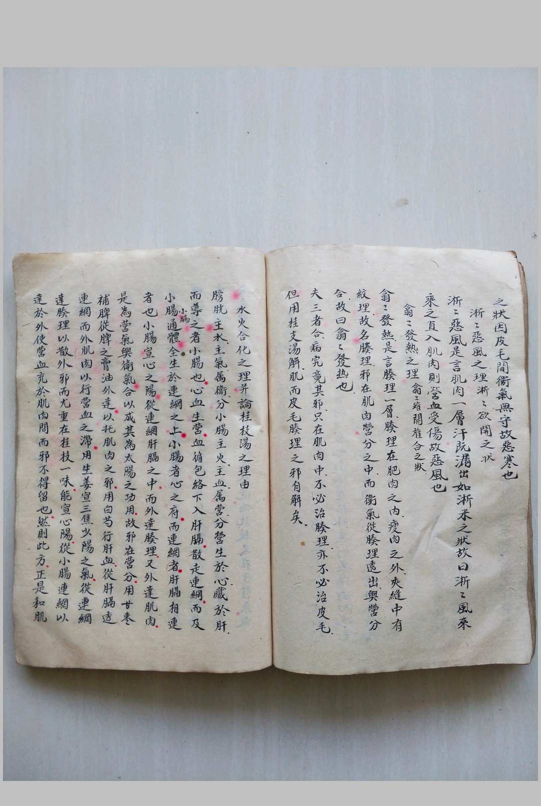 图片[15]-中华古籍网-专注古书收集论证撮要（医）-中华古籍网-专注古书收集中华古籍网-专注古书收集