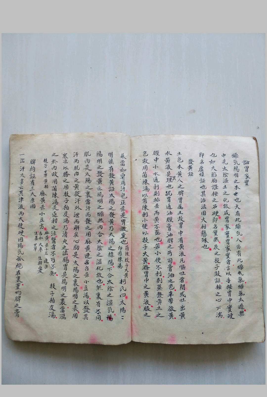 图片[10]-中华古籍网-专注古书收集论证撮要（医）-中华古籍网-专注古书收集中华古籍网-专注古书收集