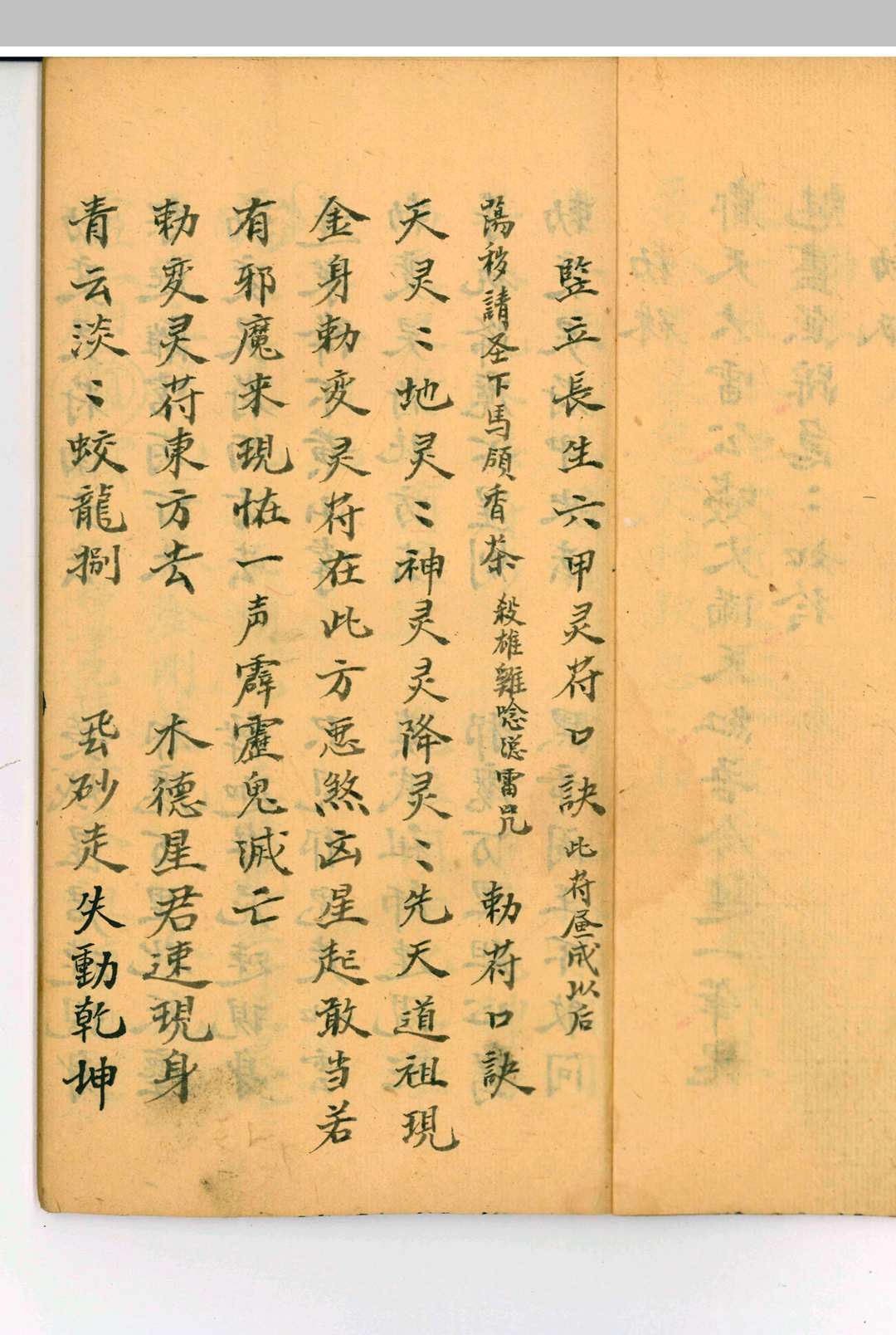图片[7]-中华古籍网-专注古书收集杂录科本草稿-中华古籍网-专注古书收集中华古籍网-专注古书收集