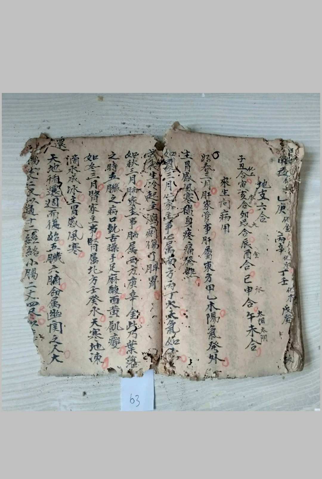 图片[14]-中华古籍网-专注古书收集民间八字命理抄本-中华古籍网-专注古书收集中华古籍网-专注古书收集