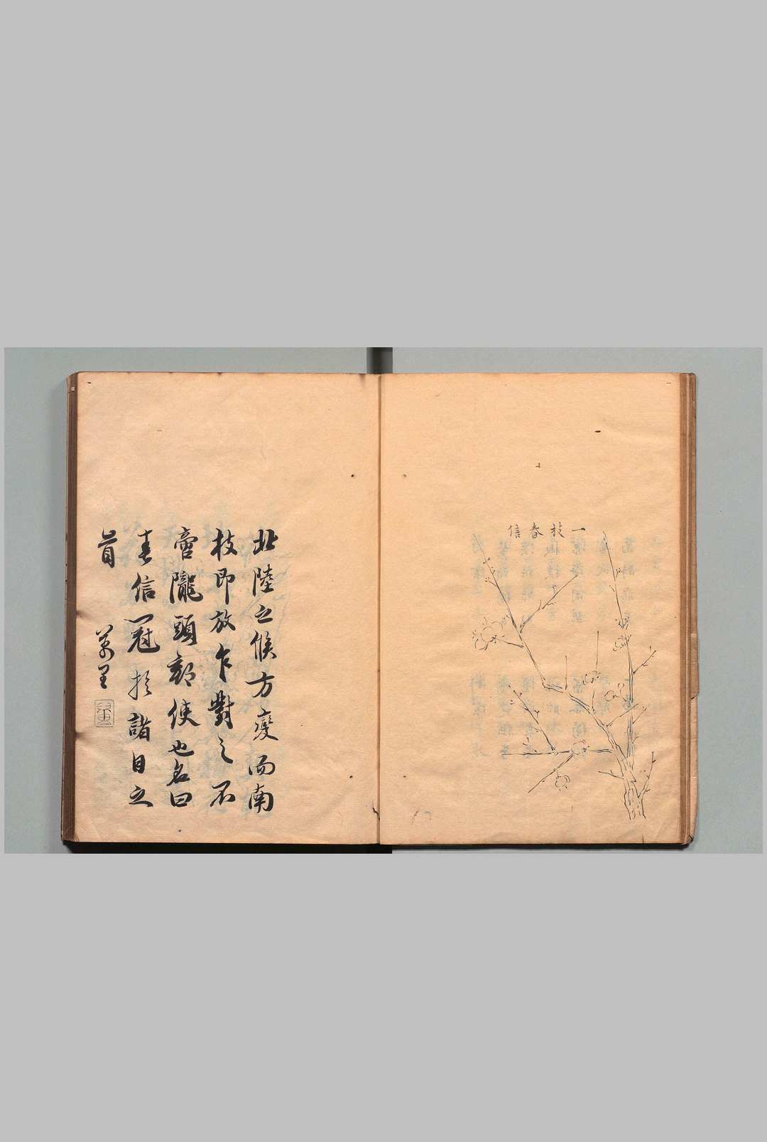 图片[4]中华古籍网-专注古书收集香雪林集 26卷 王思义（明）写本 ,江户中华古籍网-专注古书收集中华古籍网
