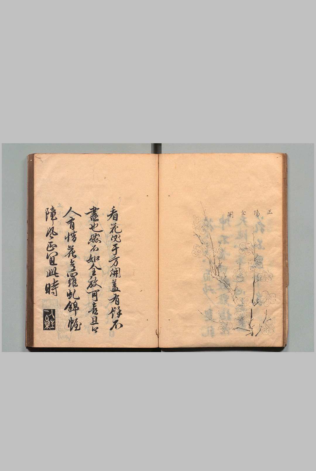 图片[5]中华古籍网-专注古书收集香雪林集 26卷 王思义（明）写本 ,江户中华古籍网-专注古书收集中华古籍网