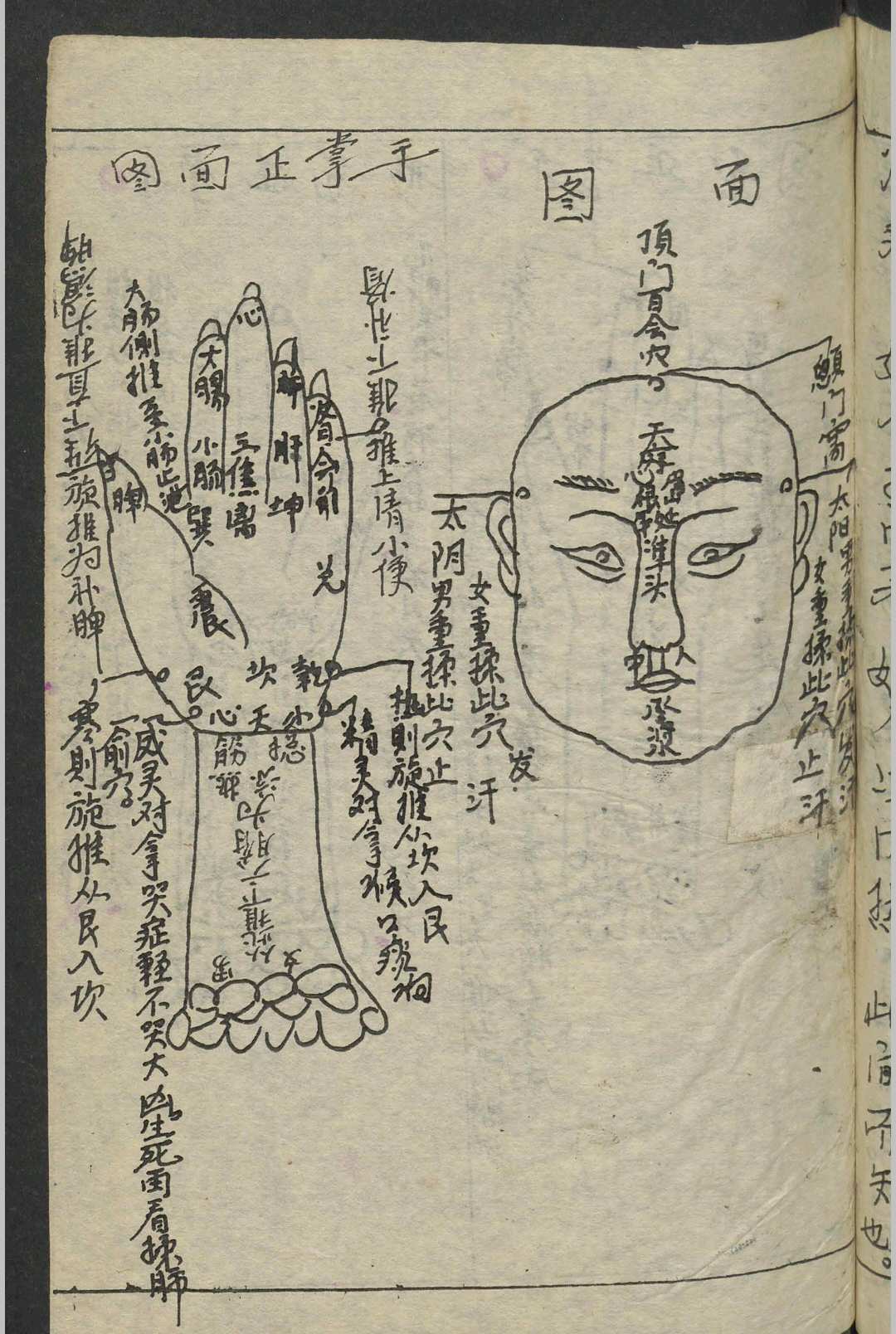 图片[15]-中华古籍网-专注古书收集杨福琼 内外大小科总集 , 1930-中华古籍网-专注古书收集中华古籍网-专注古书收集
