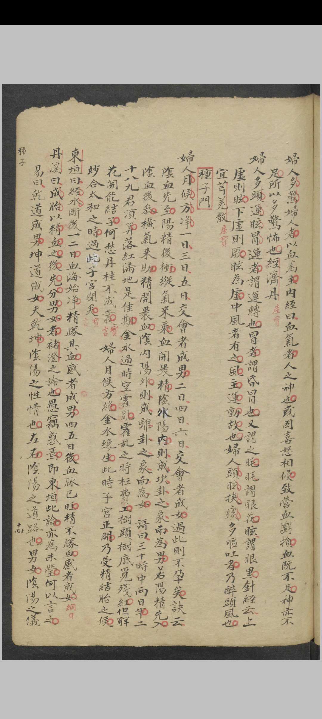图片[5]-中华古籍网-专注古书收集王守恒 女科秘传 , 1904-中华古籍网-专注古书收集中华古籍网-专注古书收集