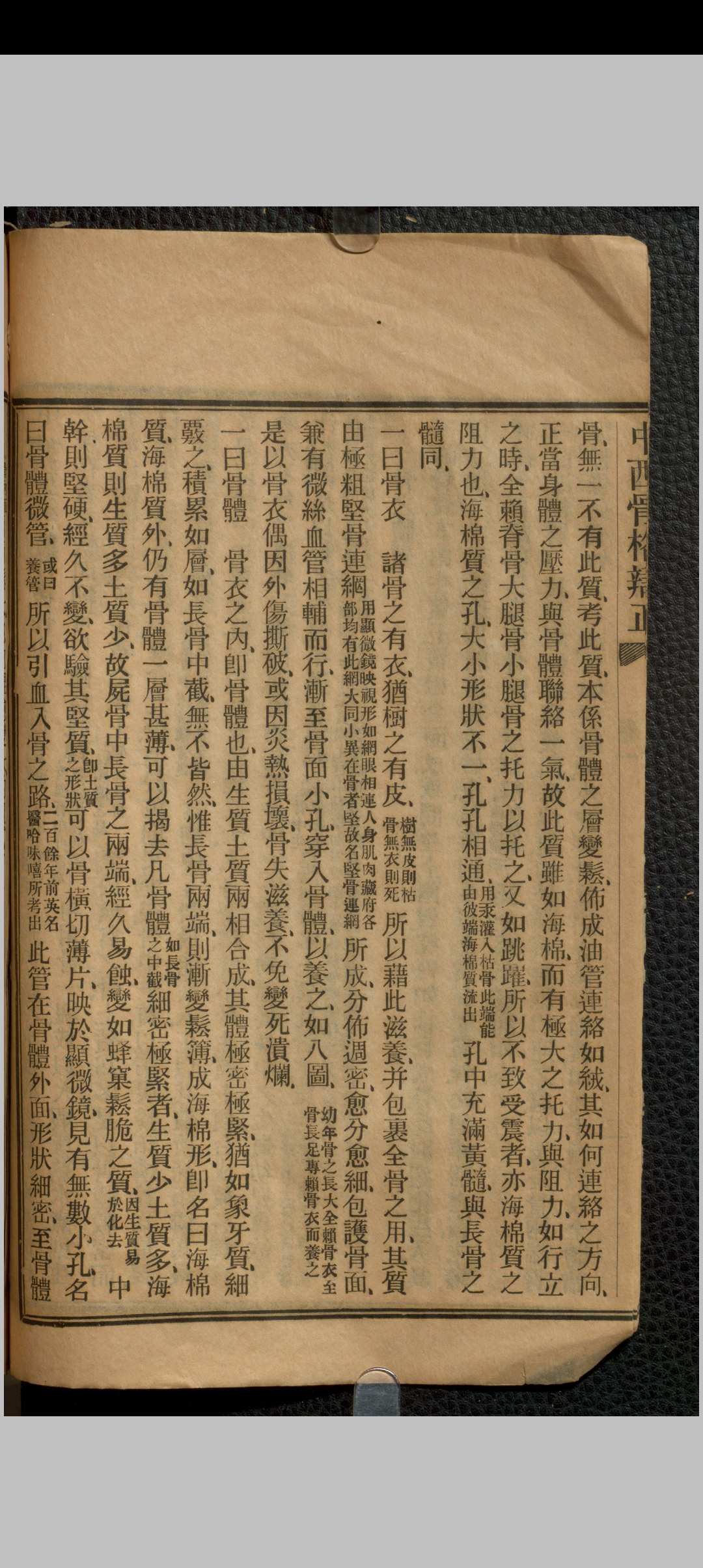 图片[8]中华古籍网-专注古书收集中西骨格辩正 七卷 刘铭之中华古籍网-专注古书收集中华古籍网