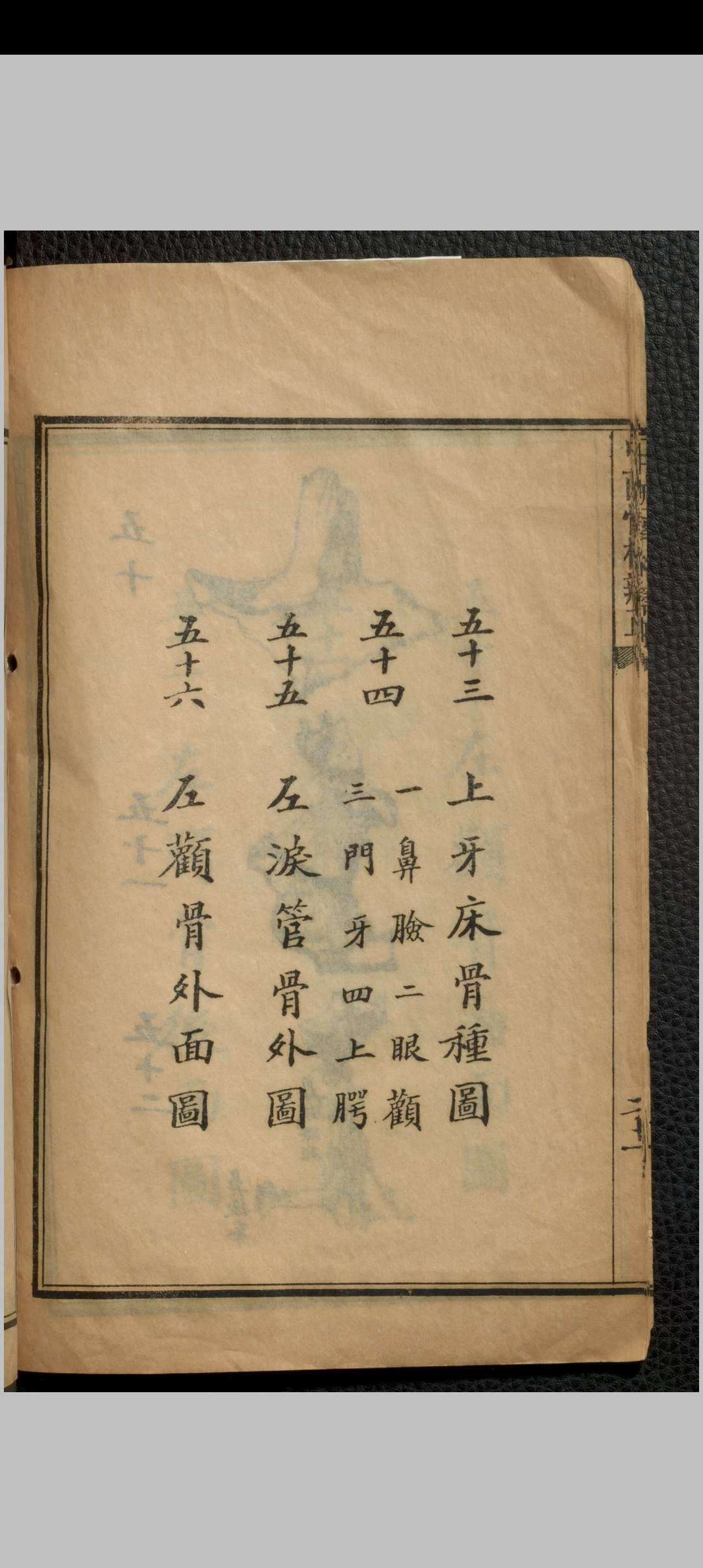 图片[11]中华古籍网-专注古书收集中西骨格辩正 七卷 刘铭之中华古籍网-专注古书收集中华古籍网
