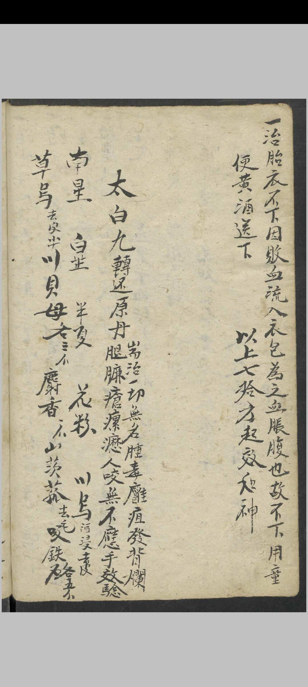 图片[8]-中华古籍网-专注古书收集郑文会 行医要知 , 1800-中华古籍网-专注古书收集中华古籍网-专注古书收集