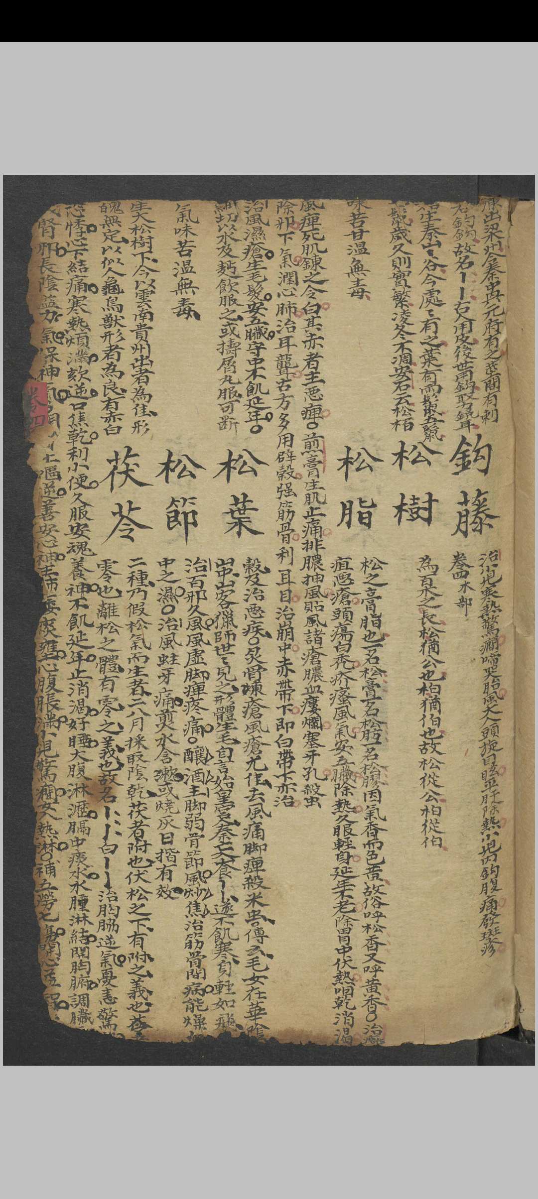 图片[2]中华古籍网-专注古书收集医方中华古籍网-专注古书收集中华古籍网