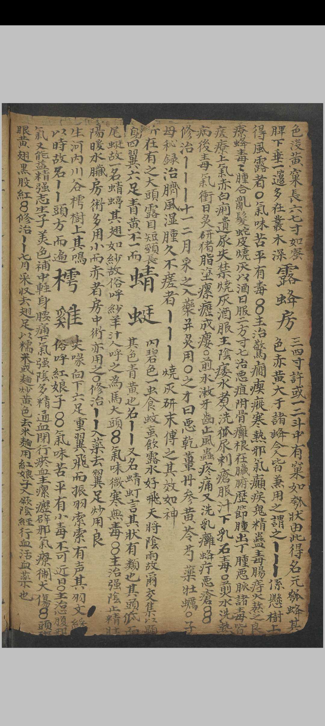 图片[8]中华古籍网-专注古书收集医方中华古籍网-专注古书收集中华古籍网