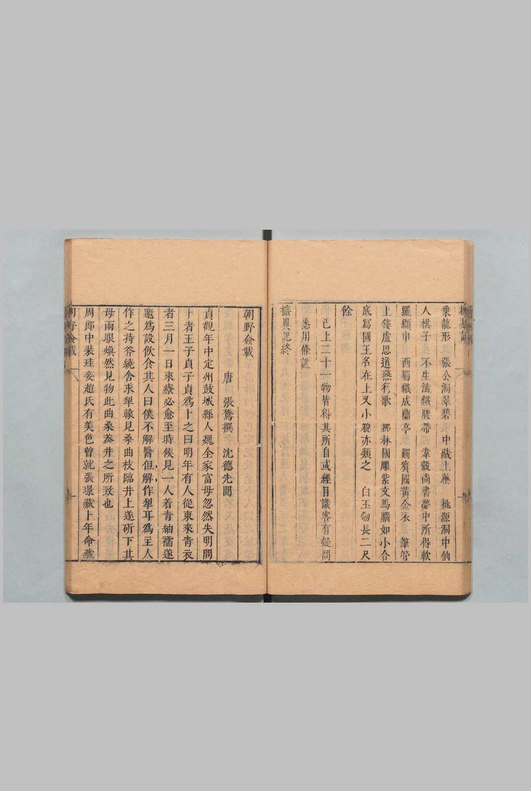 图片[5]中华古籍网-专注古书收集五朝小说 存唐人百家小说 桃源居士 明刊本中华古籍网-专注古书收集中华古籍网