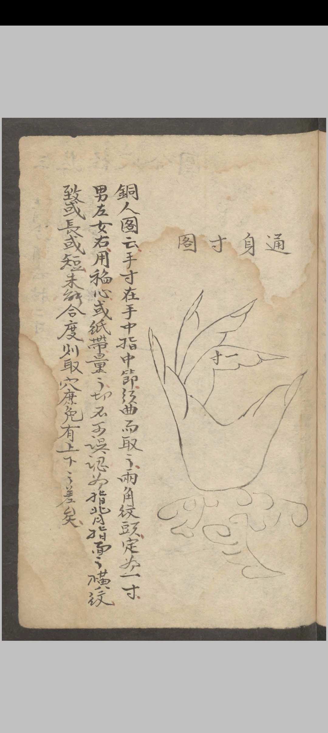 图片[10]中华古籍网-专注古书收集武荣纶; 董玉山; 润德堂 牛痘新书中华古籍网-专注古书收集中华古籍网