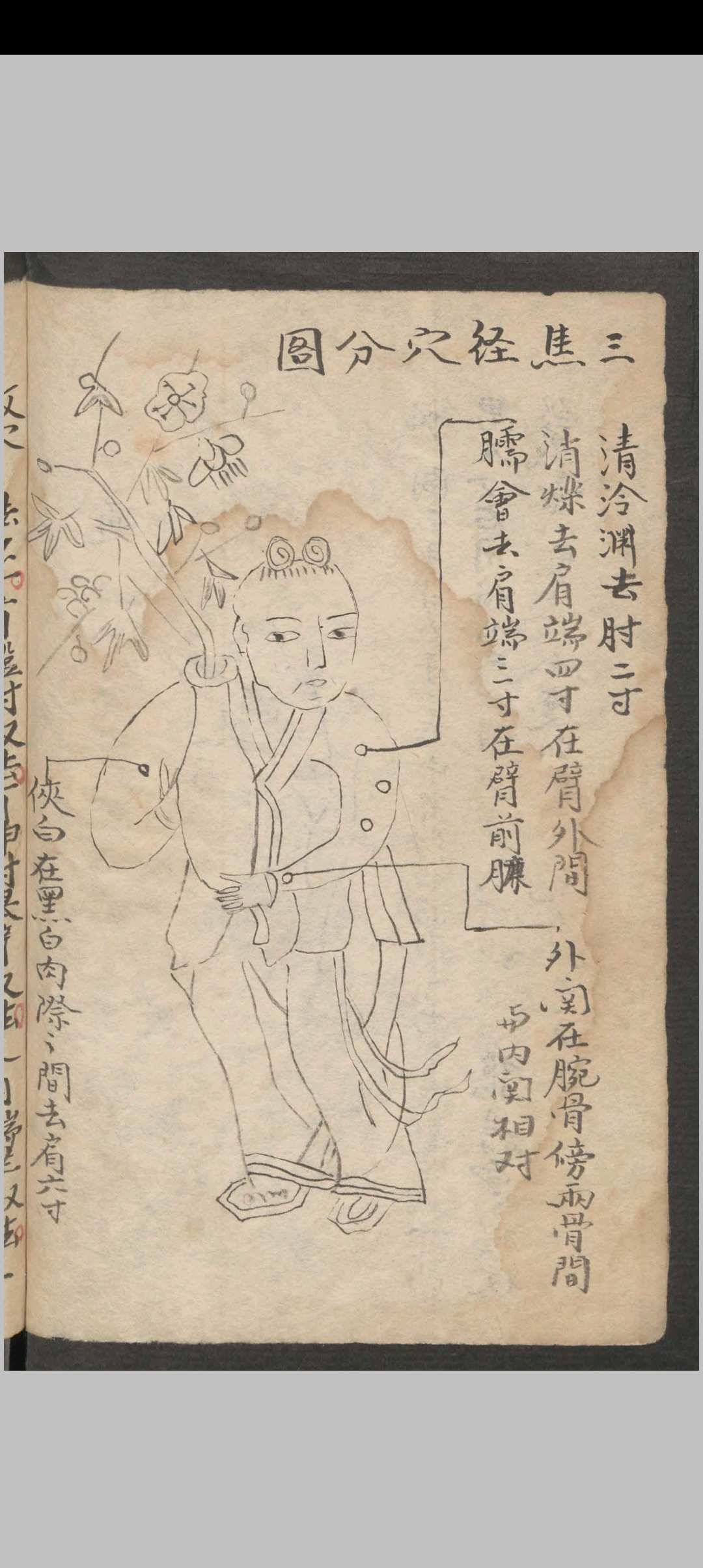 图片[9]中华古籍网-专注古书收集武荣纶; 董玉山; 润德堂 牛痘新书中华古籍网-专注古书收集中华古籍网