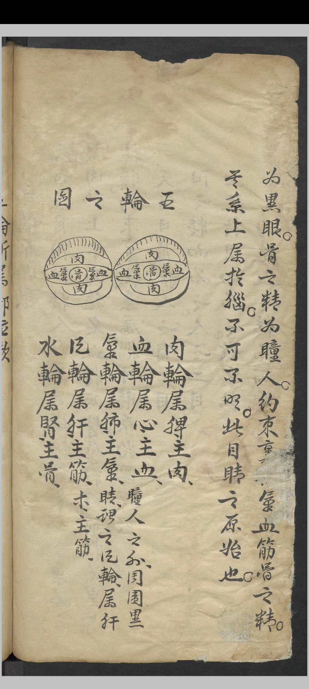 图片[8]-中华古籍网-专注古书收集眼科阐微 , 1800-中华古籍网-专注古书收集中华古籍网-专注古书收集