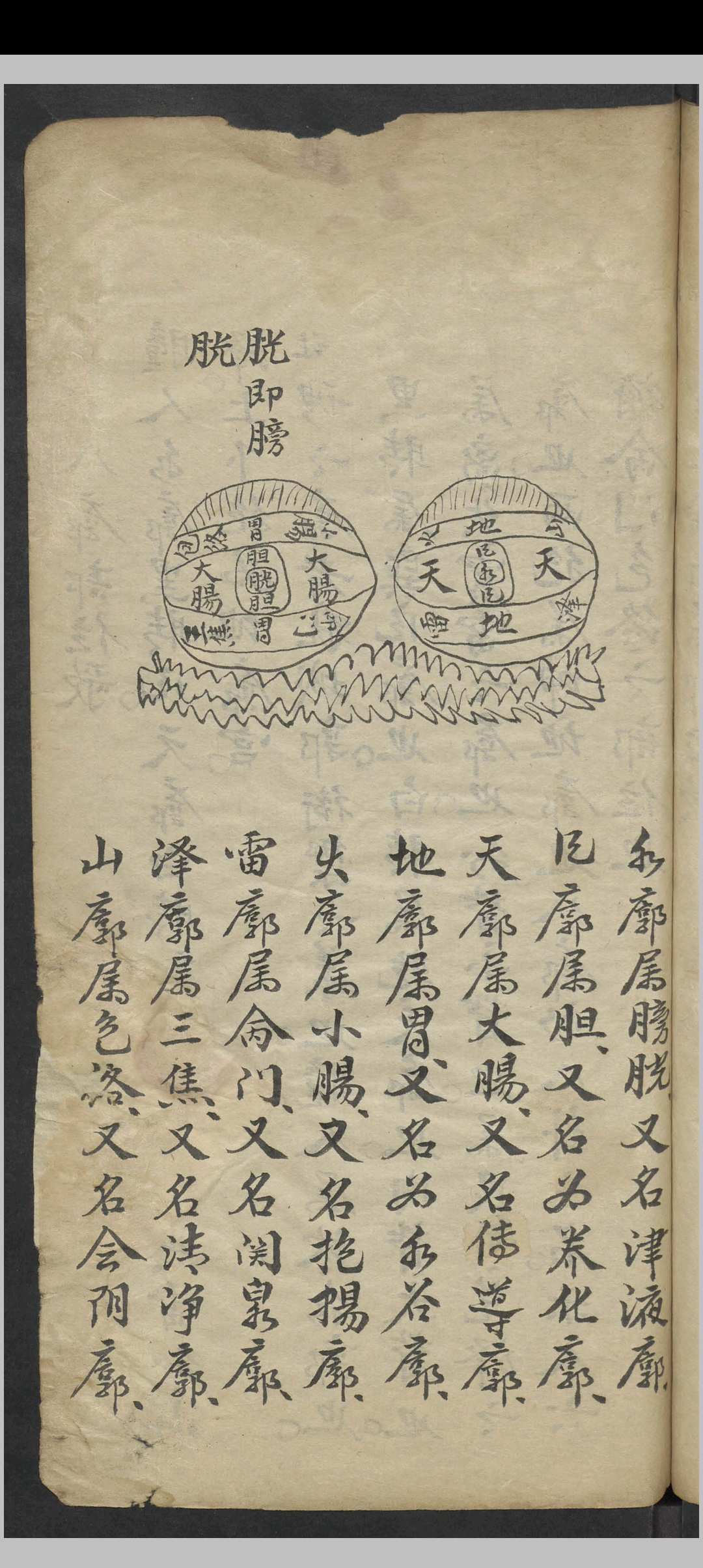 图片[10]-中华古籍网-专注古书收集眼科阐微 , 1800-中华古籍网-专注古书收集中华古籍网-专注古书收集