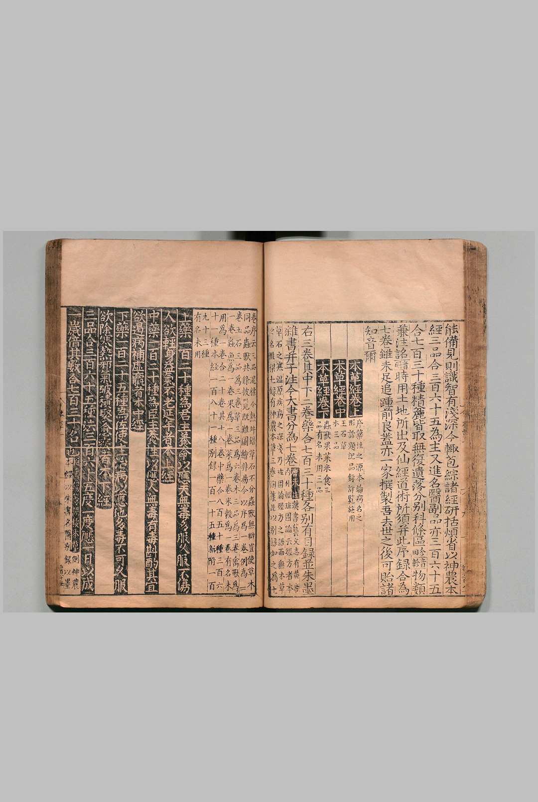 图片[11]中华古籍网-专注古书收集重刊经史证类大全本草 31卷 唐慎微（宋）明万历28年 , 籍山书院中华古籍网-专注古书收集中华古籍网