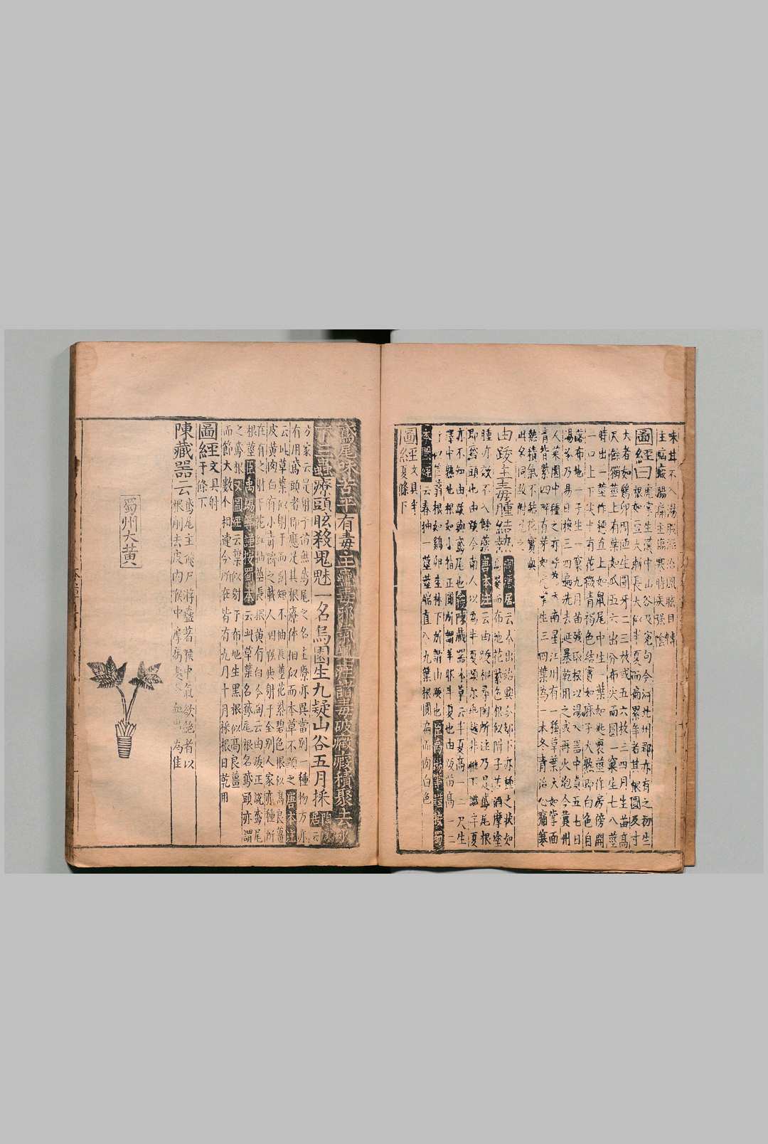 图片[9]中华古籍网-专注古书收集重刊经史证类大全本草 31卷 唐慎微（宋）明万历28年 , 籍山书院中华古籍网-专注古书收集中华古籍网