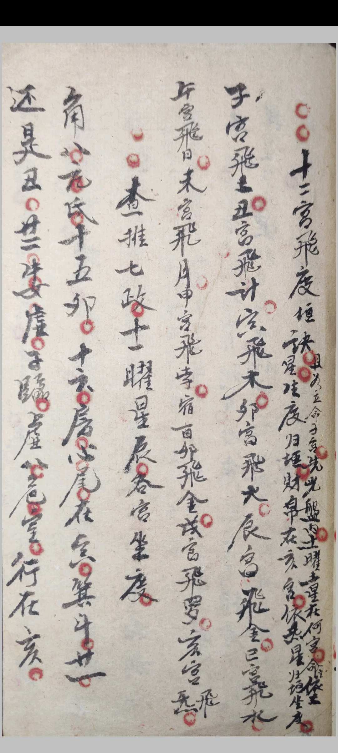 图片[8]-中华古籍网-专注古书收集星命八字秘本-中华古籍网-专注古书收集中华古籍网-专注古书收集