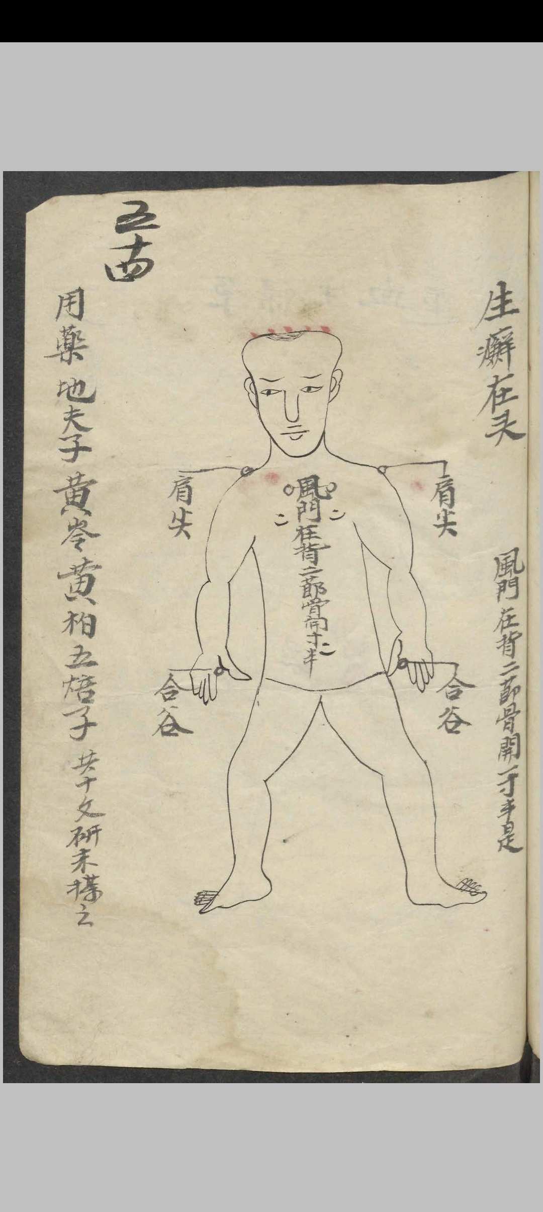 图片[7]-中华古籍网-专注古书收集百症图说 , 1900-中华古籍网-专注古书收集中华古籍网-专注古书收集
