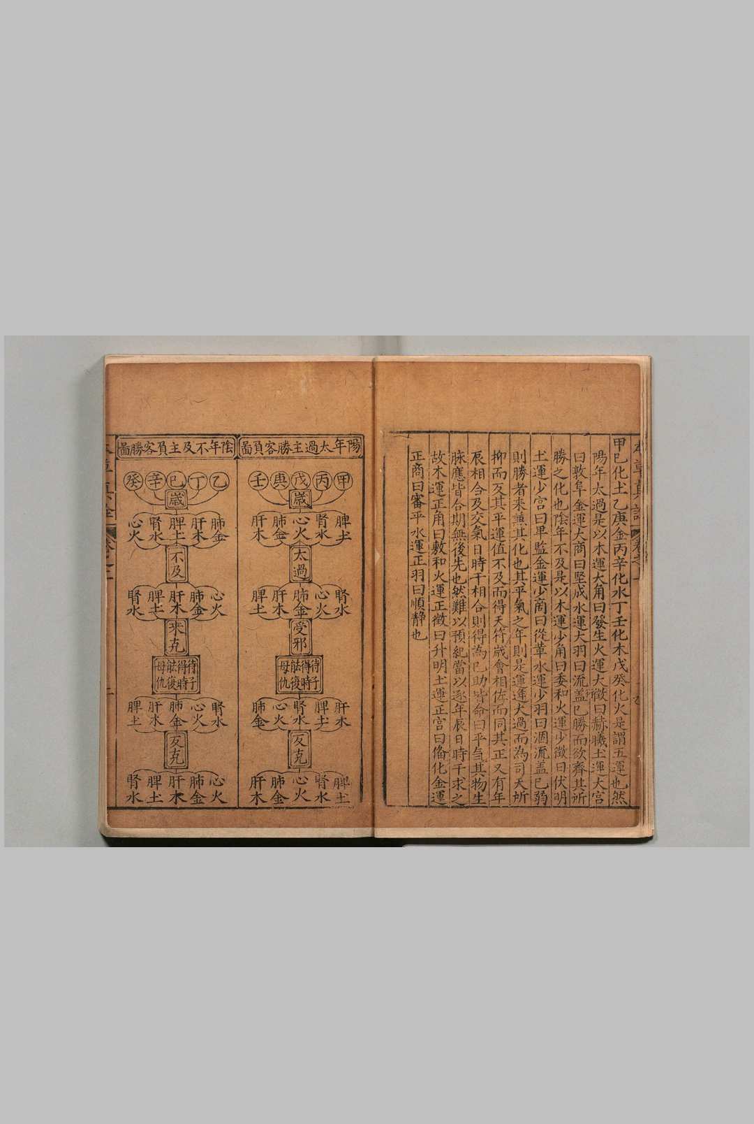 图片[9]中华古籍网-专注古书收集新刊官板本草真诠 杨崇魁（明）万历30年中华古籍网-专注古书收集中华古籍网