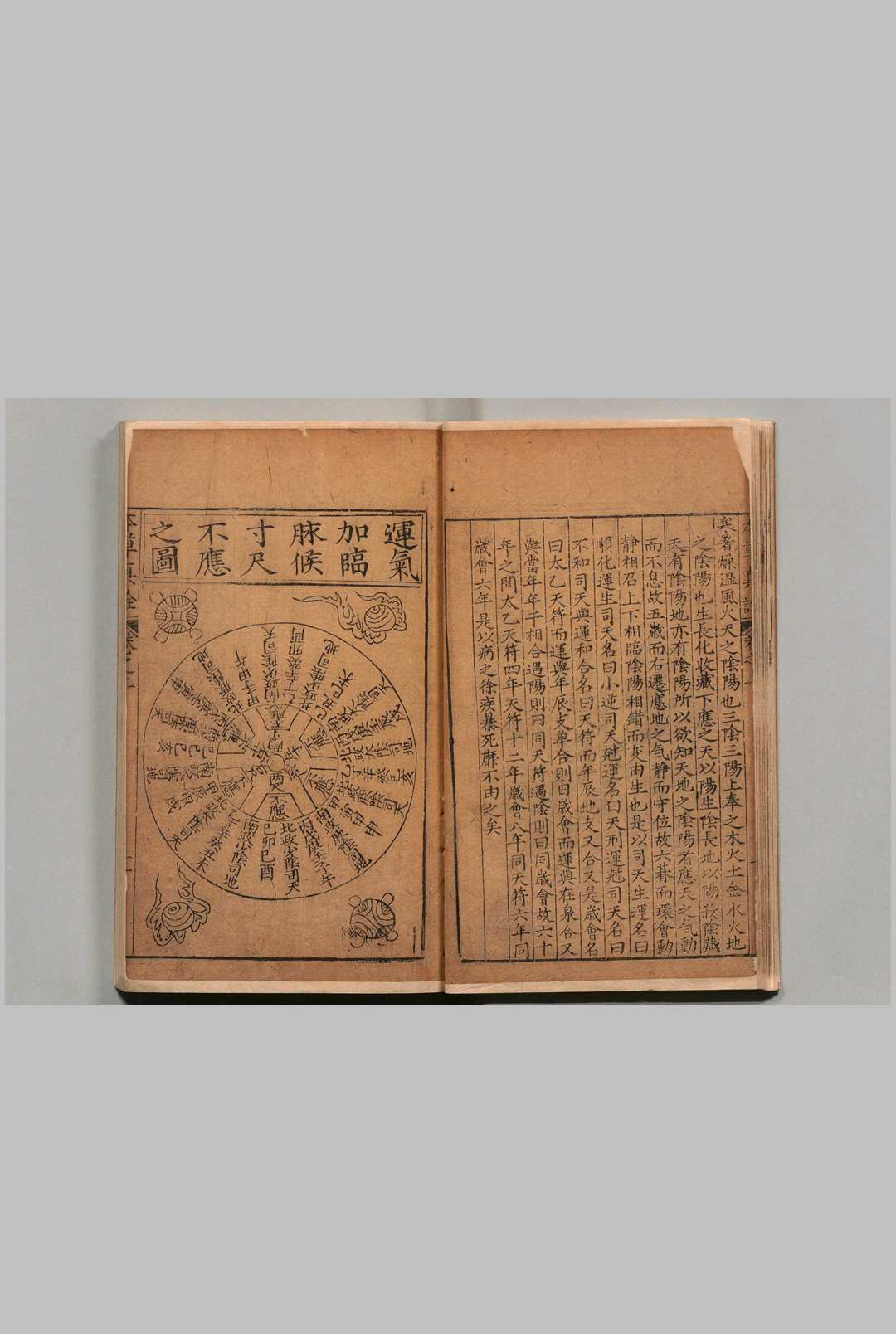 图片[11]中华古籍网-专注古书收集新刊官板本草真诠 杨崇魁（明）万历30年中华古籍网-专注古书收集中华古籍网