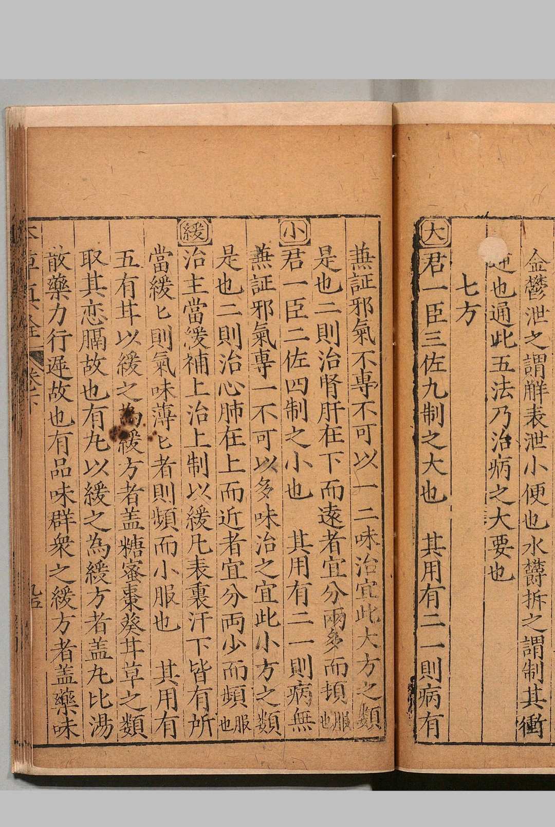 图片[12]中华古籍网-专注古书收集新刊官板本草真诠 杨崇魁（明）万历30年中华古籍网-专注古书收集中华古籍网