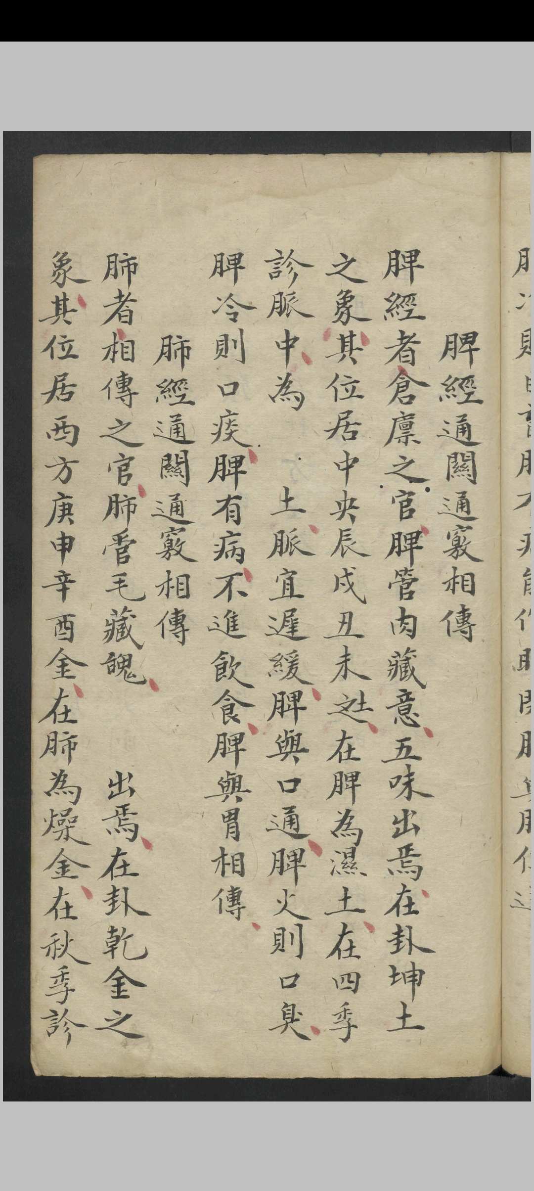 图片[14]-中华古籍网-专注古书收集惊风杂症 , 1800-中华古籍网-专注古书收集中华古籍网-专注古书收集