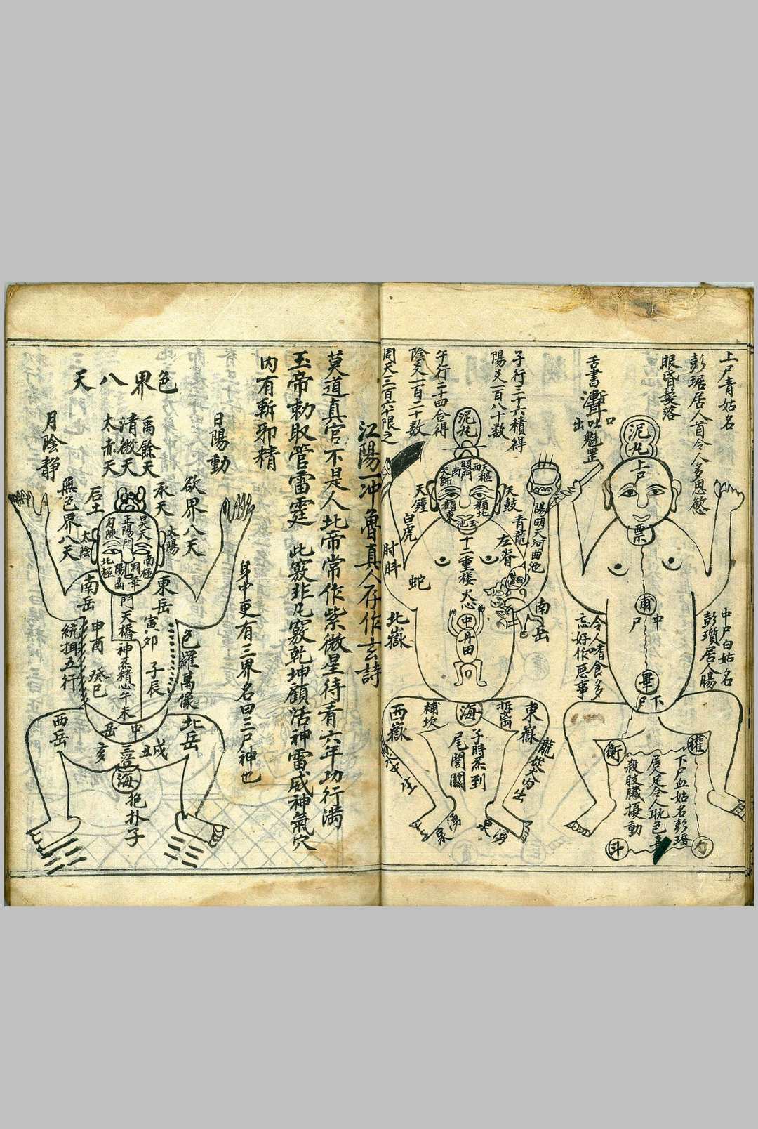图片[14]-中华古籍网-专注古书收集亲传天机图-中华古籍网-专注古书收集中华古籍网-专注古书收集