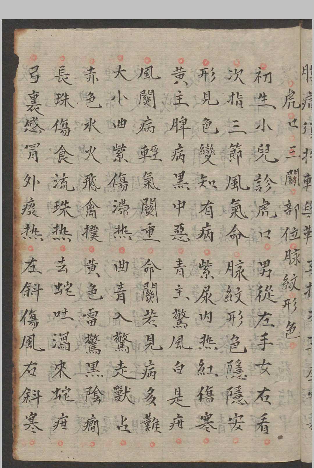 图片[3]中华古籍网-专注古书收集谢吉康 小儿察症 , 1800中华古籍网-专注古书收集中华古籍网