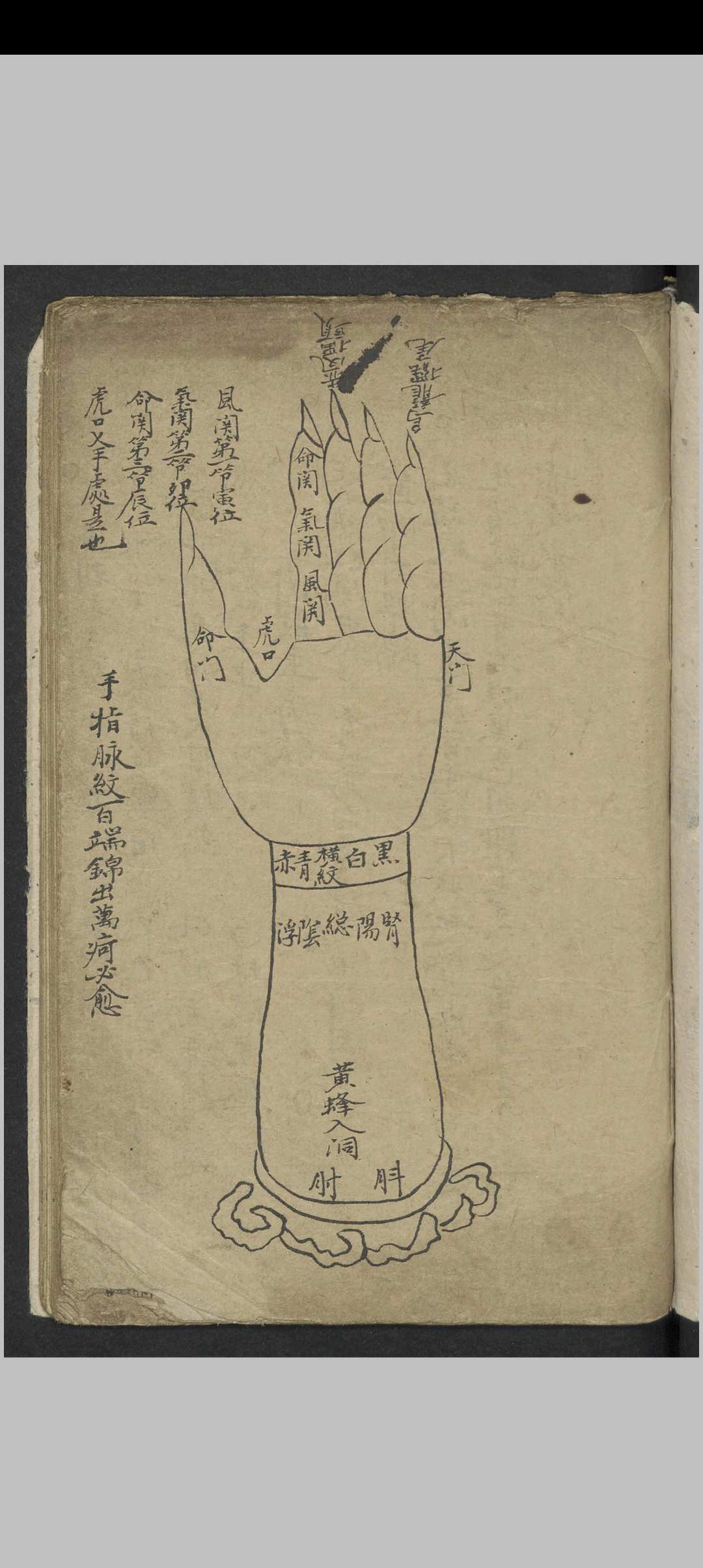 图片[2]-中华古籍网-专注古书收集小儿推拿 , 1900-中华古籍网-专注古书收集中华古籍网-专注古书收集