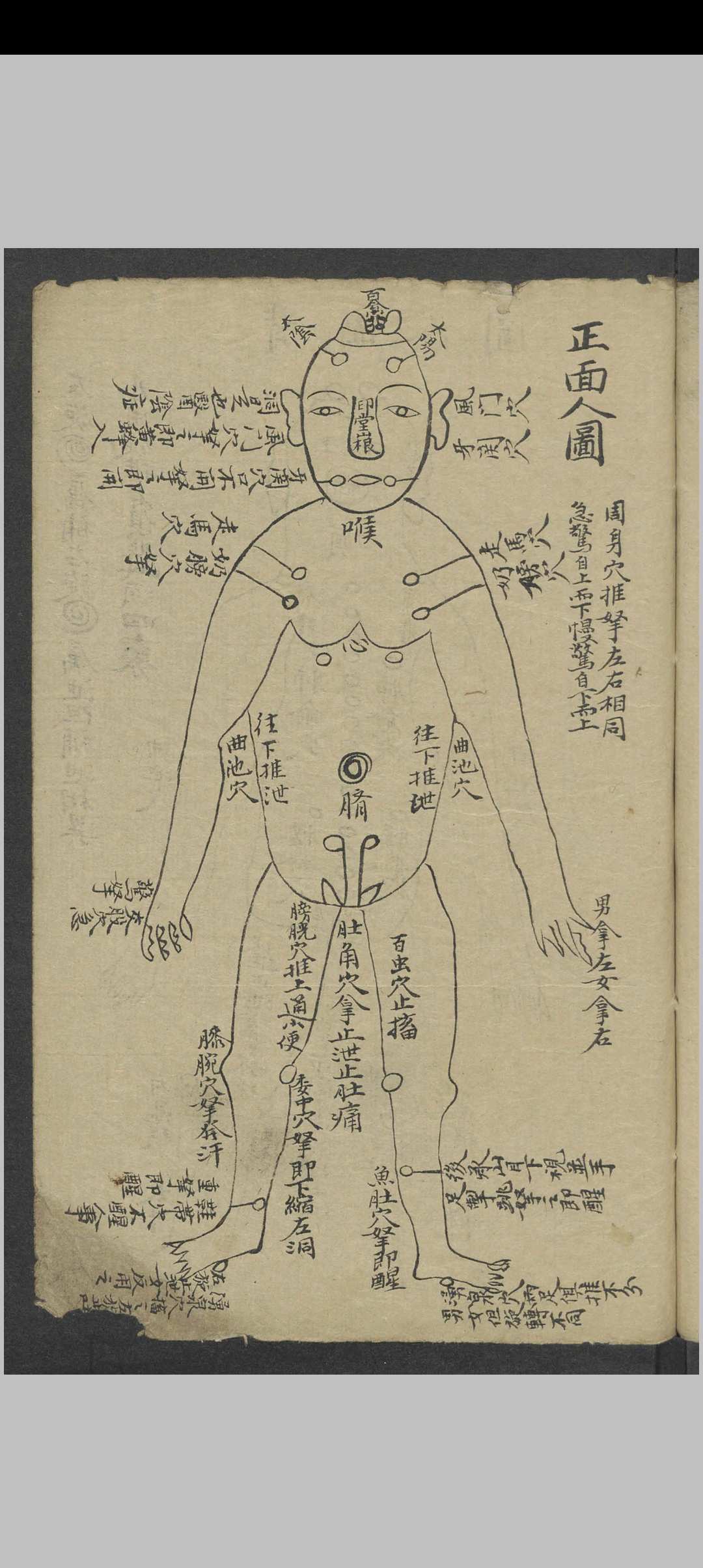图片[4]-中华古籍网-专注古书收集小儿推拿 , 1900-中华古籍网-专注古书收集中华古籍网-专注古书收集