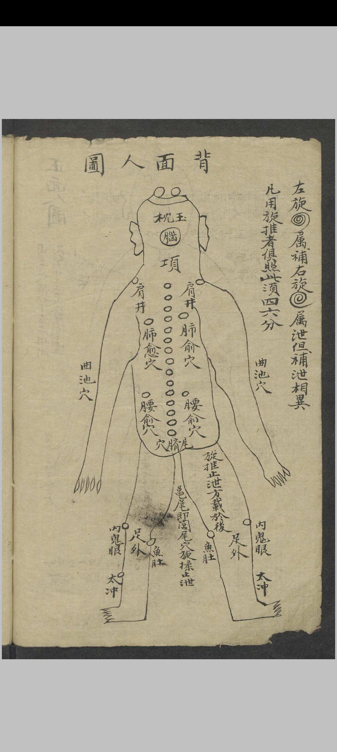 图片[7]-中华古籍网-专注古书收集小儿推拿 , 1900-中华古籍网-专注古书收集中华古籍网-专注古书收集