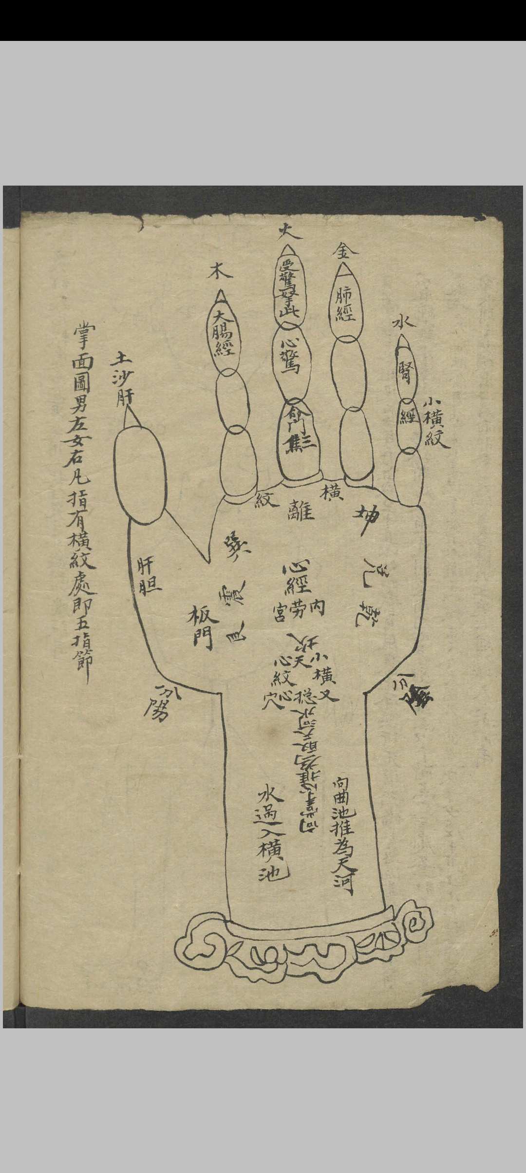 图片[6]-中华古籍网-专注古书收集小儿推拿 , 1900-中华古籍网-专注古书收集中华古籍网-专注古书收集