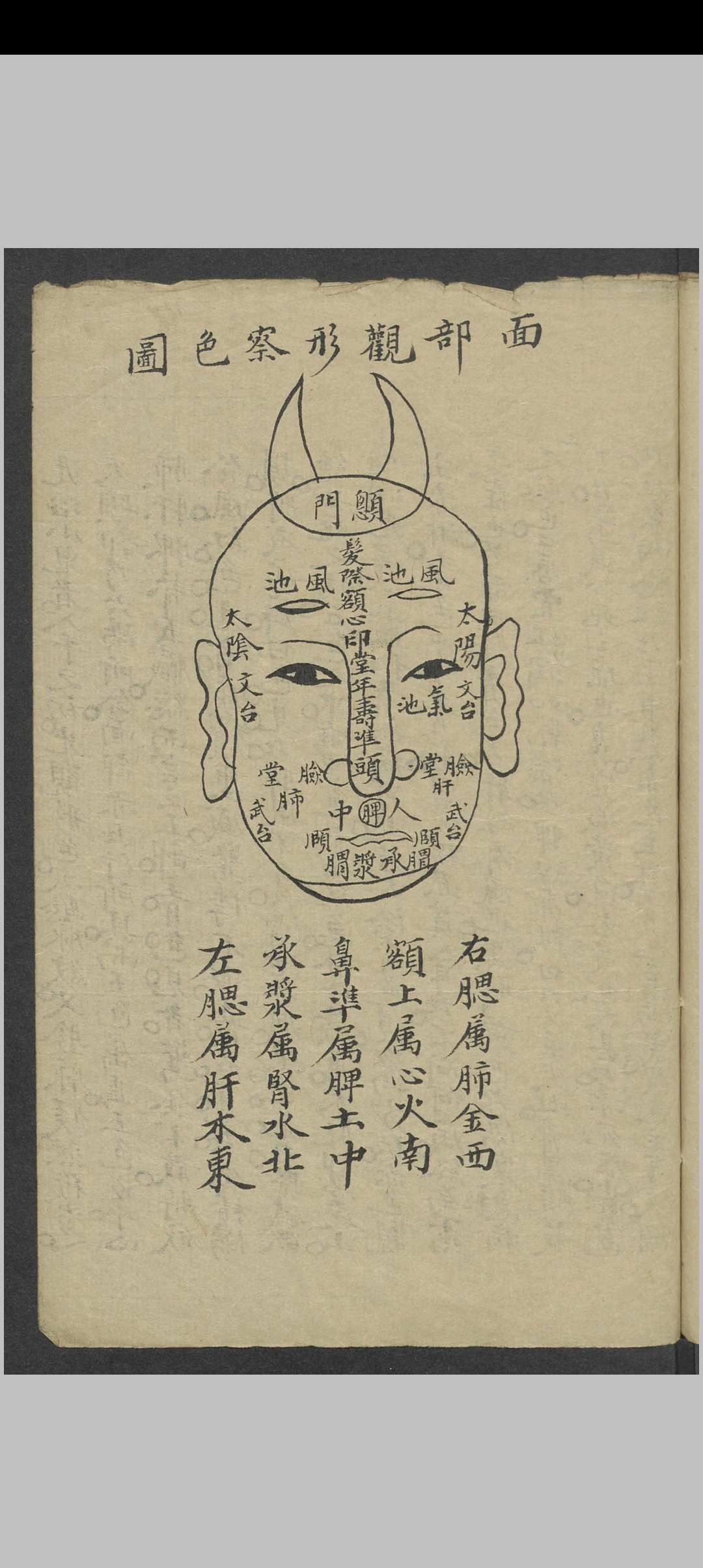图片[9]-中华古籍网-专注古书收集小儿推拿 , 1900-中华古籍网-专注古书收集中华古籍网-专注古书收集