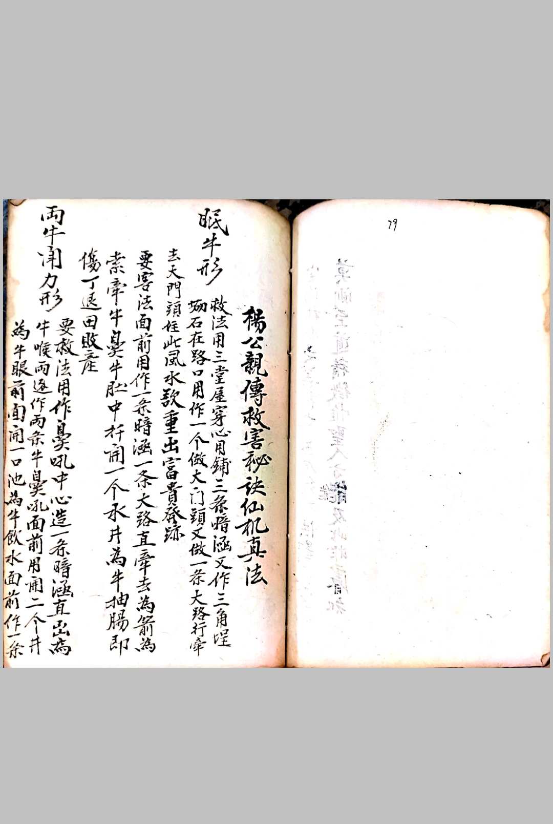 图片[19]-中华古籍网-专注古书收集杨公地理亲传救害秘诀仙机真法-中华古籍网-专注古书收集中华古籍网-专注古书收集