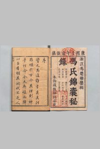冯氏锦嚢秘录 杂症大小合参 20卷 首２卷 痘疹全集15卷 杂症痘疹药性主治合参12卷 首１卷 冯兆张 王崇志 清康熙41年中华古籍网-专注古书收集中华古籍网