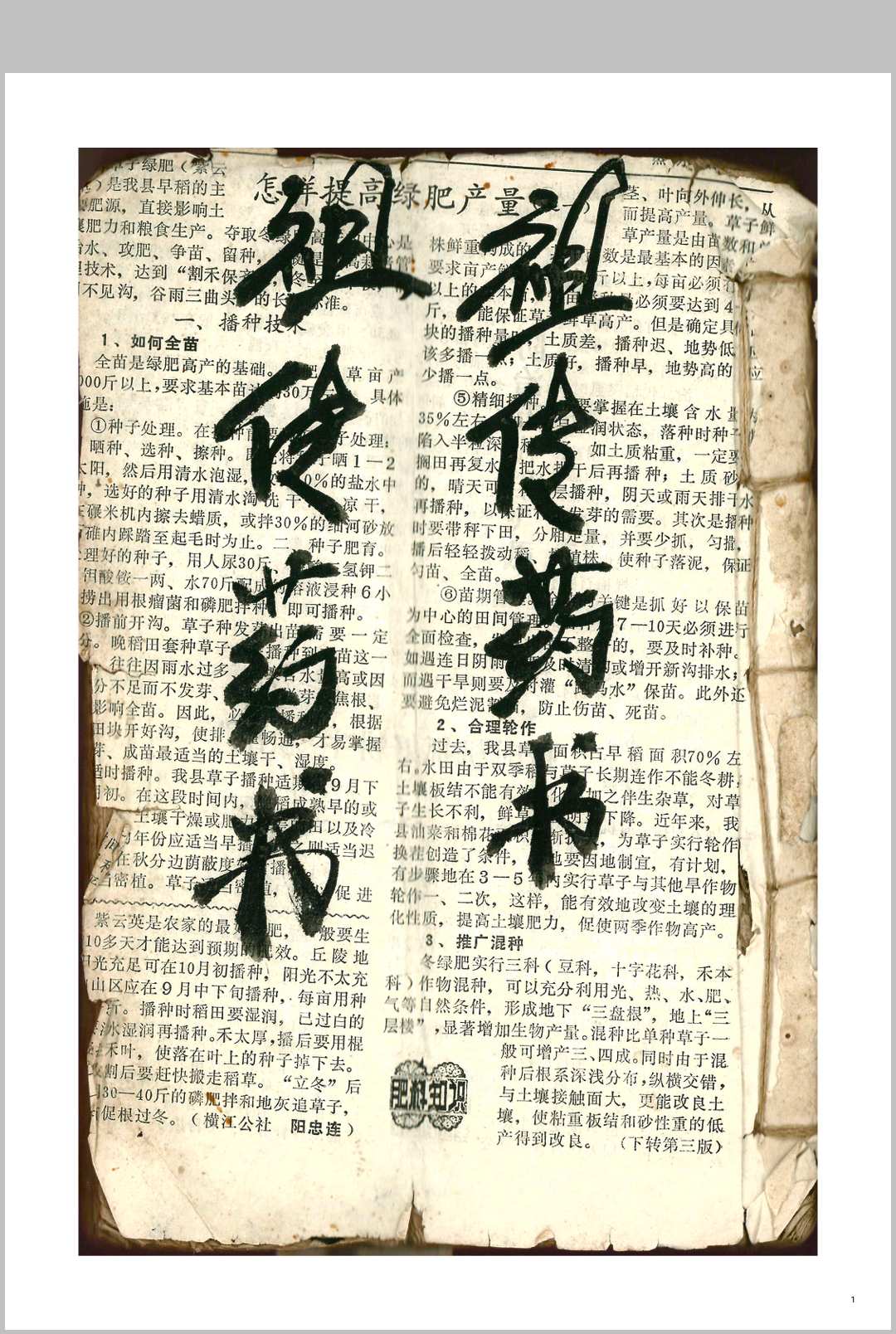 道医《祖传药书》-中华古籍网-专注古书收集中华古籍网-专注古书收集