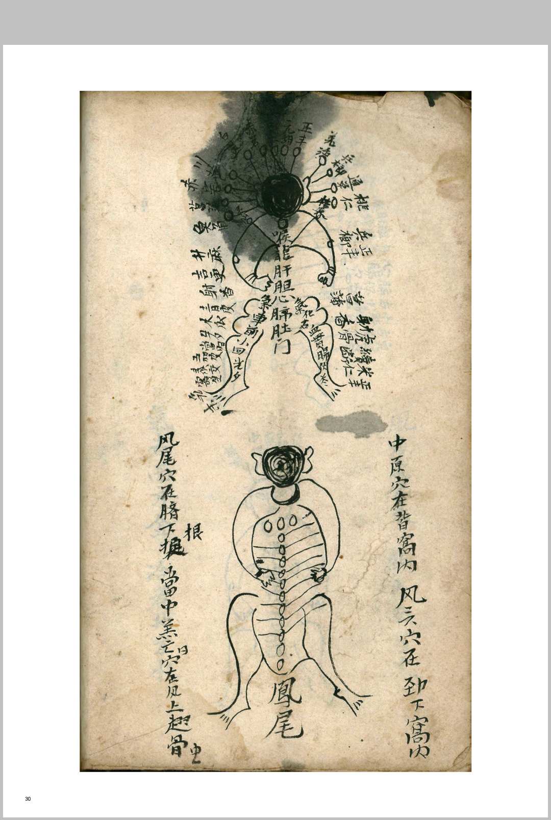 图片[8]-中华古籍网-专注古书收集道医《祖传药书》-中华古籍网-专注古书收集中华古籍网-专注古书收集