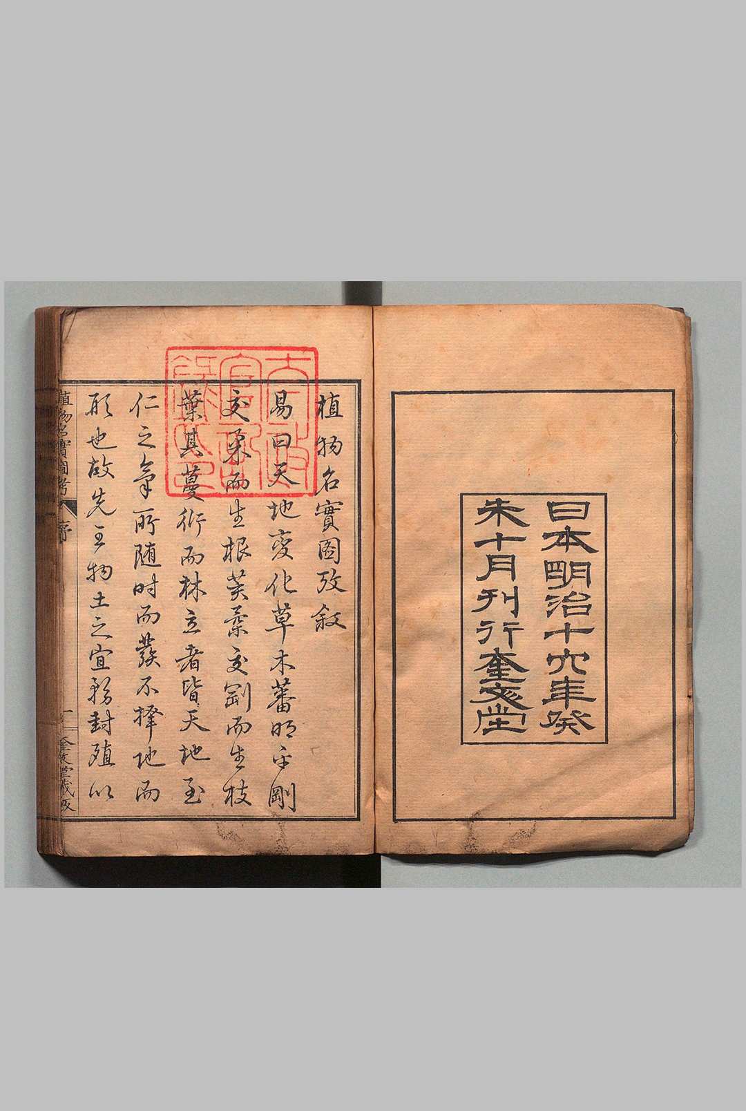 图片[2]中华古籍网-专注古书收集重修植物名实图考 32卷 吴其濬（清）小野职修 训点者冈松瓮谷 刊本 ,明治16年 ～ 刊本 ,明治20年中华古籍网-专注古书收集中华古籍网