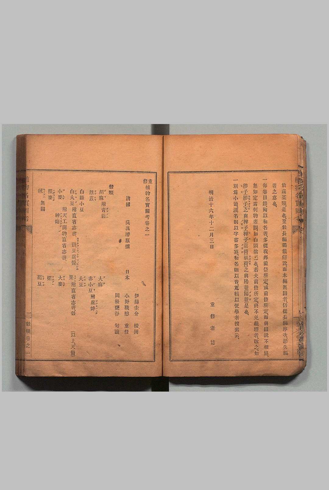 图片[9]中华古籍网-专注古书收集重修植物名实图考 32卷 吴其濬（清）小野职修 训点者冈松瓮谷 刊本 ,明治16年 ～ 刊本 ,明治20年中华古籍网-专注古书收集中华古籍网