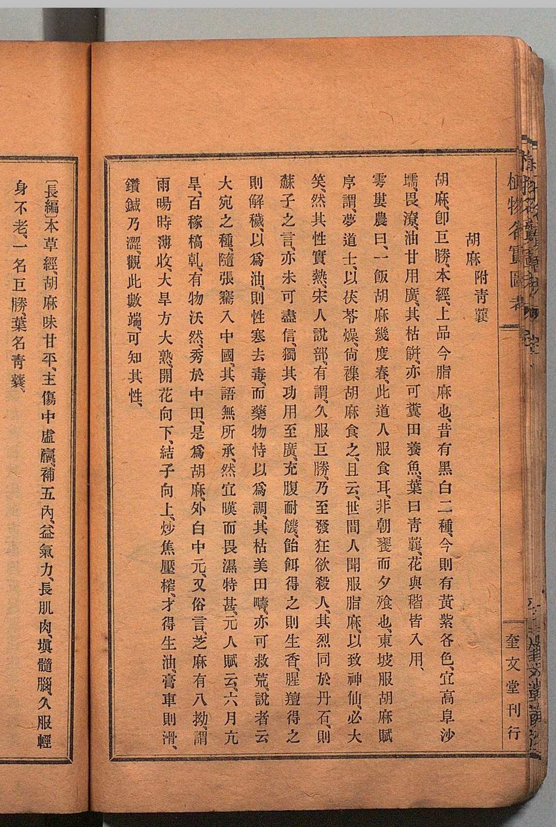图片[4]中华古籍网-专注古书收集重修植物名实图考 32卷 吴其濬（清）小野职修 训点者冈松瓮谷 刊本 ,明治16年 ～ 刊本 ,明治20年中华古籍网-专注古书收集中华古籍网