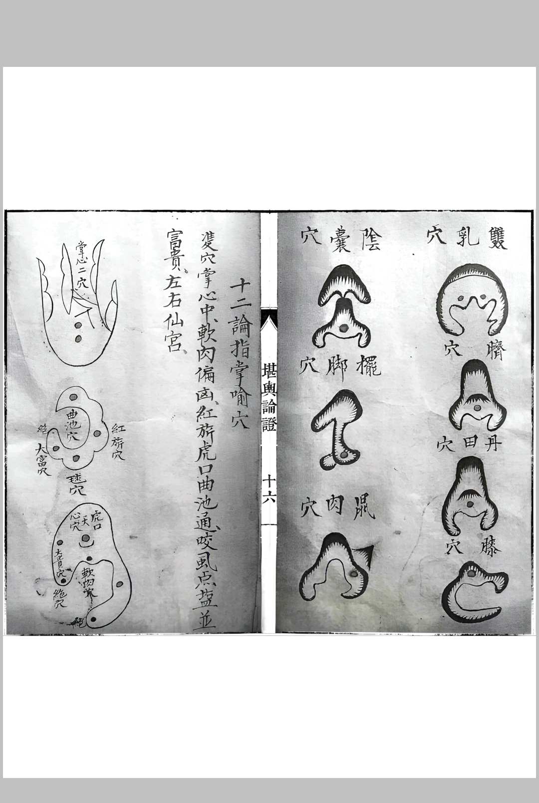 图片[12]中华古籍网-专注古书收集堪舆论证中华古籍网-专注古书收集中华古籍网