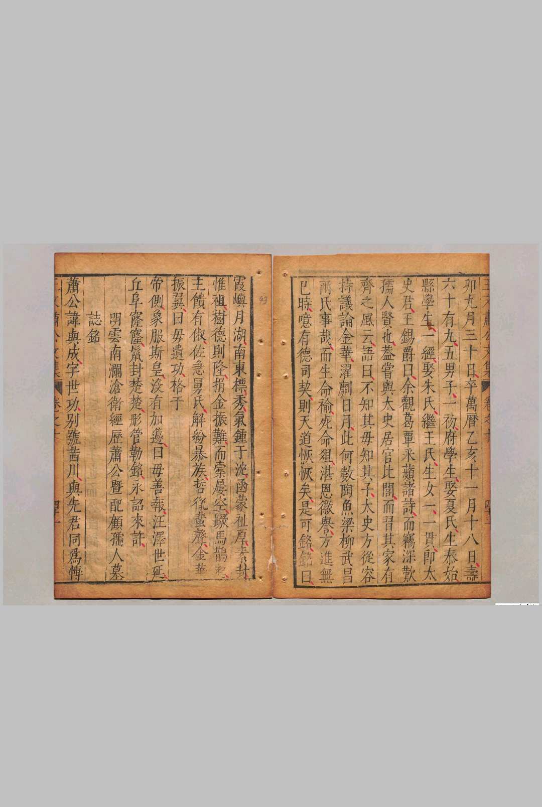 图片[5]中华古籍网-专注古书收集王文肃公文集 55卷 王锡爵 王时敏 明万历43年中华古籍网-专注古书收集中华古籍网