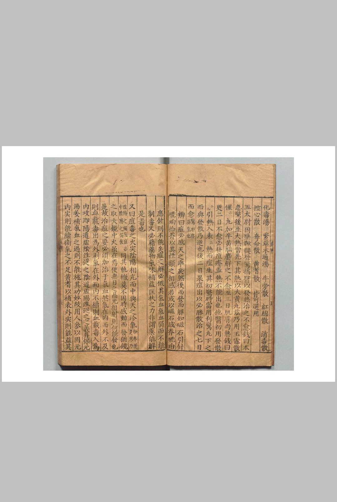 图片[2]中华古籍网-专注古书收集痘治理辨 汪机（明）中华古籍网-专注古书收集中华古籍网
